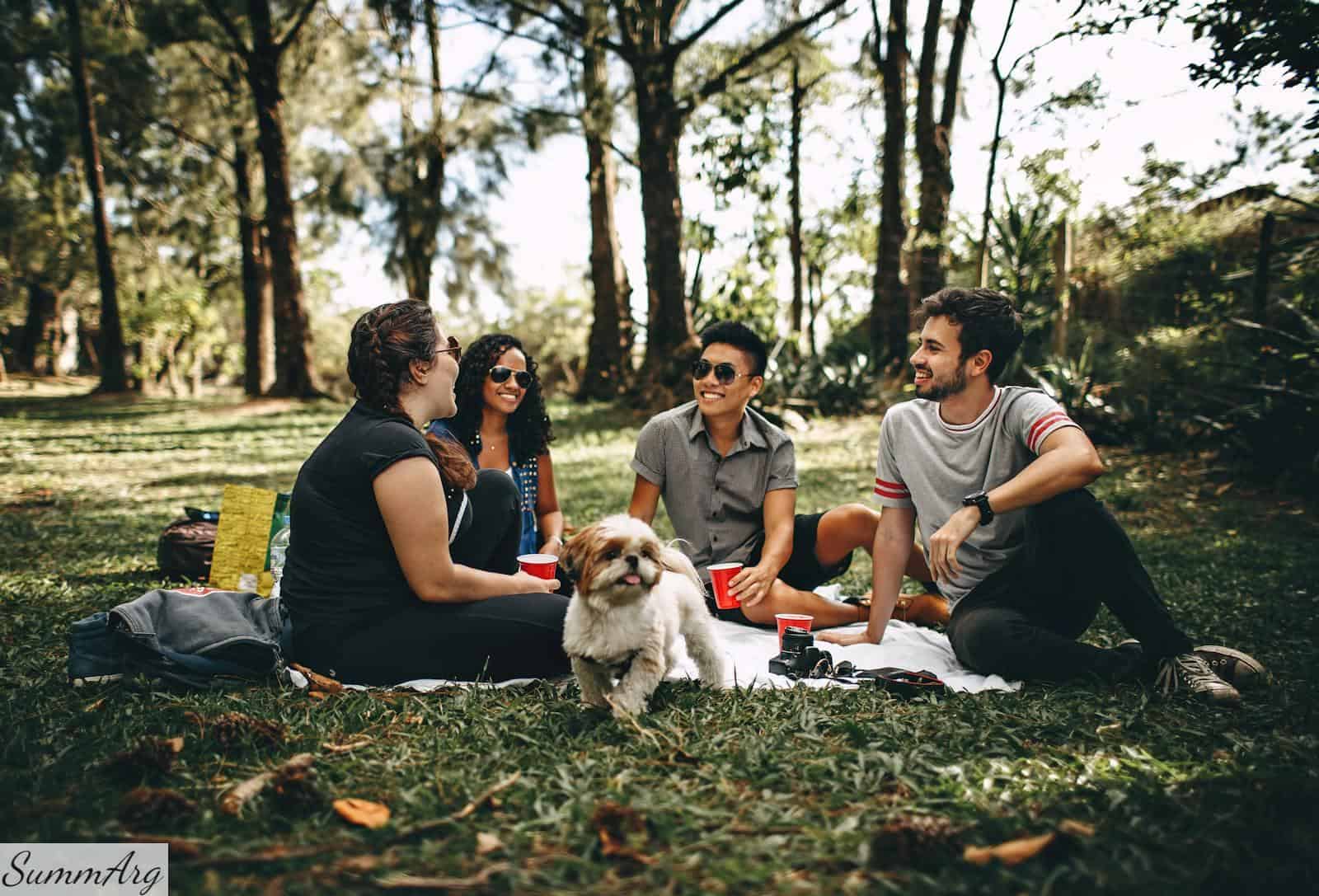 picnic